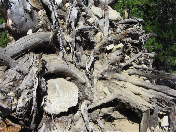 2009-07_jmt_evolution_122.jpg