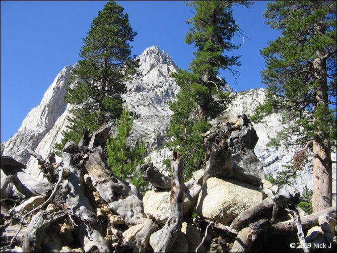 2009-07_jmt_evolution_124.jpg