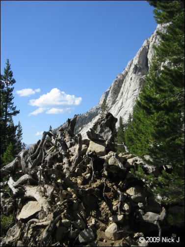 2009-07_jmt_evolution_125.jpg