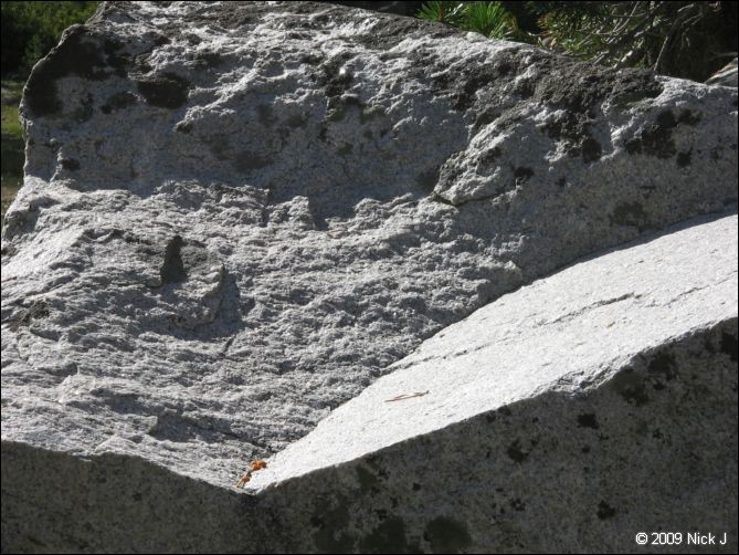 2009-07_jmt_evolution_128.jpg