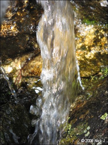 2009-07_jmt_evolution_141.jpg
