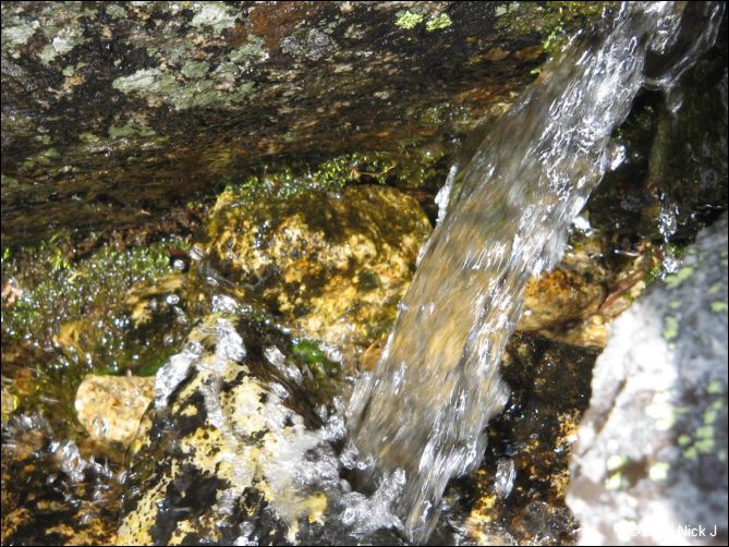 2009-07_jmt_evolution_143.jpg