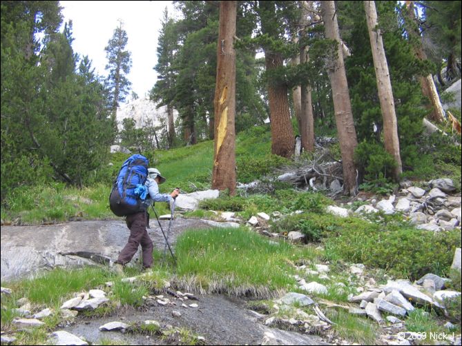 2009-07_jmt_evolution_162.jpg