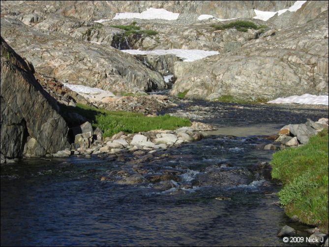 2009-07_jmt_evolution_195.jpg