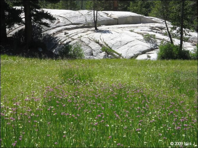 2009-07_jmt_evolution_268.jpg