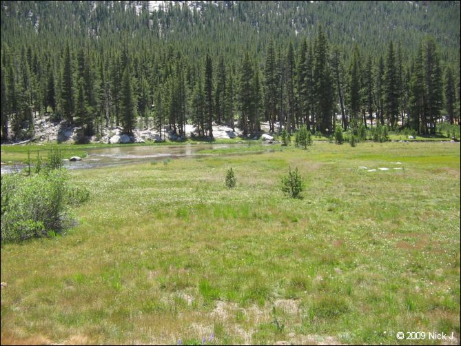 2009-07_jmt_evolution_269.jpg