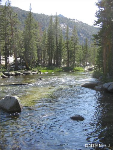 2009-07_jmt_evolution_282.jpg