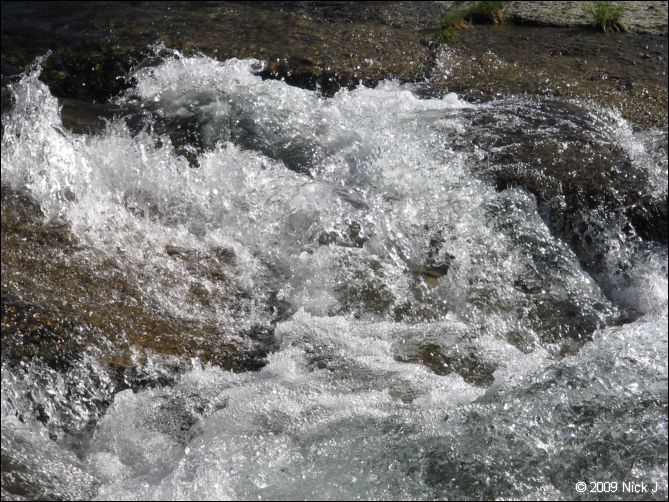 2009-07_jmt_evolution_290.jpg