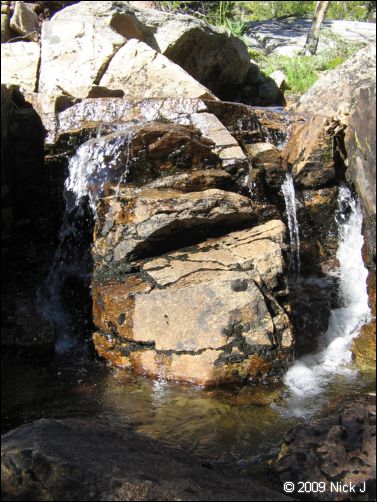 2009-07_jmt_evolution_296.jpg
