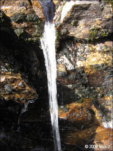 2009-07_jmt_evolution_300.jpg