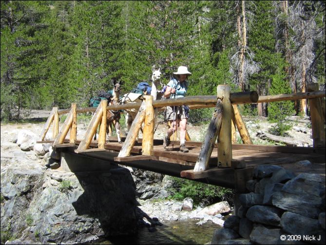 2009-07_jmt_evolution_309.jpg