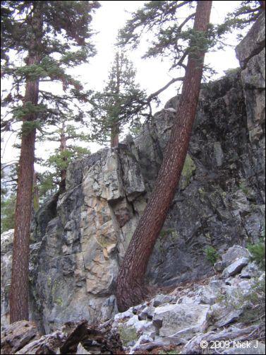 2009-07_jmt_evolution_324.jpg