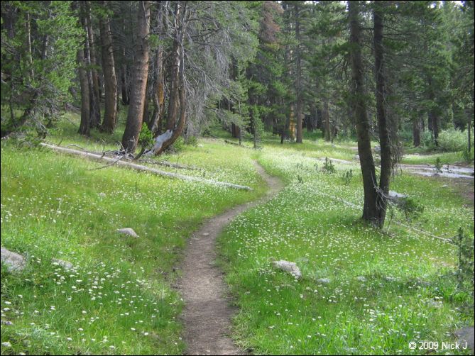 2009-07_jmt_evolution_345.jpg