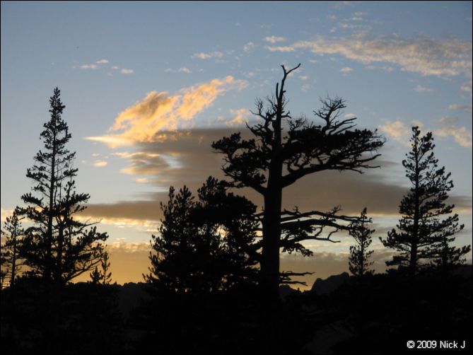 2009-07_jmt_evolution_379.jpg