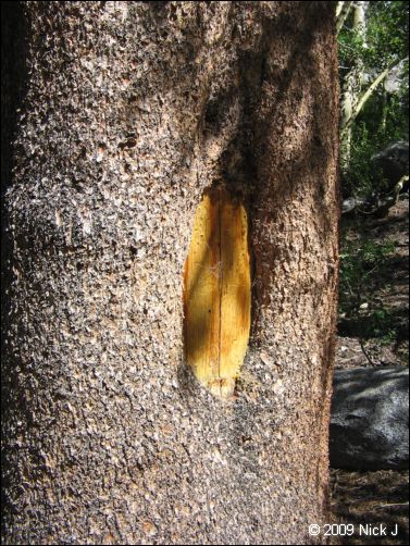 2009-07_jmt_evolution_407.jpg