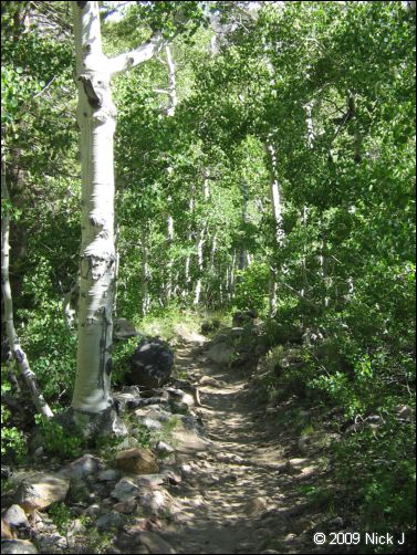 2009-07_jmt_evolution_408.jpg