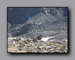 Click to enlarge 2009-07_jmt_evolution_021.jpg