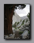 Click to enlarge 2009-07_jmt_evolution_088.jpg
