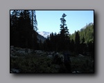 Click to enlarge 2009-07_jmt_evolution_109.jpg