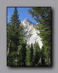 Click to enlarge 2009-07_jmt_evolution_130.jpg