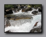 Click to enlarge 2009-07_jmt_evolution_139.jpg