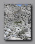 Click to enlarge 2009-07_jmt_evolution_147.jpg