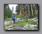 Click to enlarge 2009-07_jmt_evolution_162.jpg
