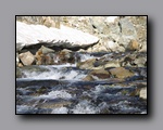Click to enlarge 2009-07_jmt_evolution_199.jpg