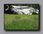 Click to enlarge 2009-07_jmt_evolution_268.jpg