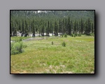 Click to enlarge 2009-07_jmt_evolution_269.jpg