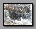 Click to enlarge 2009-07_jmt_evolution_289.jpg
