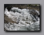 Click to enlarge 2009-07_jmt_evolution_290.jpg