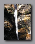 Click to enlarge 2009-07_jmt_evolution_300.jpg