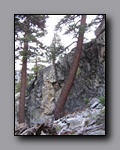 Click to enlarge 2009-07_jmt_evolution_324.jpg