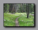 Click to enlarge 2009-07_jmt_evolution_345.jpg