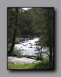 Click to enlarge 2009-07_jmt_evolution_346.jpg