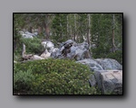 Click to enlarge 2009-07_jmt_evolution_364.jpg