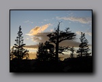 Click to enlarge 2009-07_jmt_evolution_379.jpg
