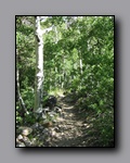Click to enlarge 2009-07_jmt_evolution_408.jpg