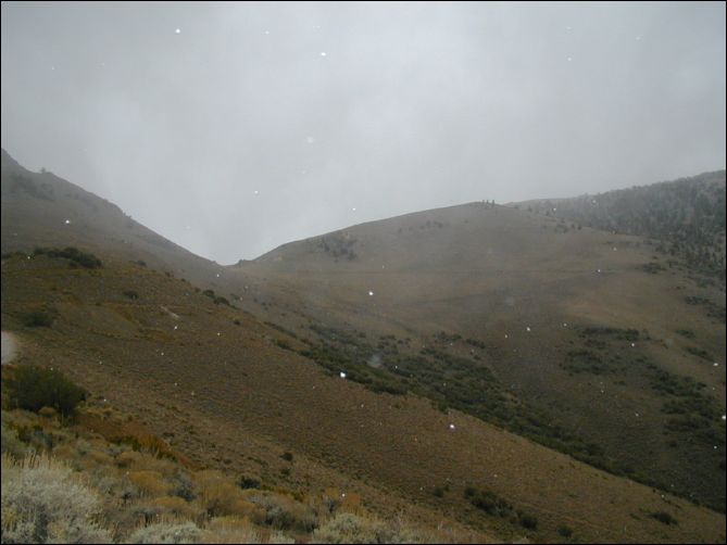 pa150027.jpg