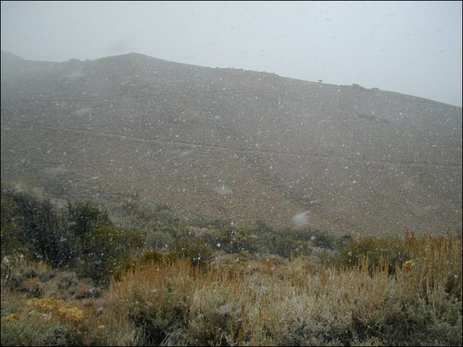 pa150031.jpg