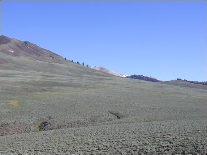 2005-07-04_dsurv_barcroft_02.jpg