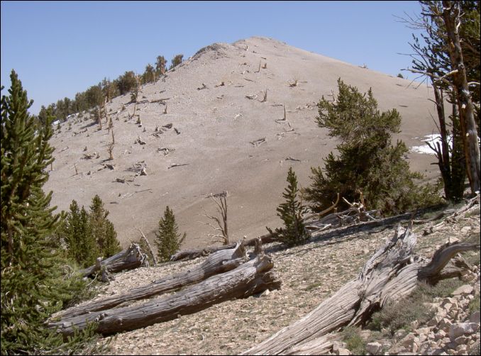 2005-07-04_dsurv_barcroft_116_lw_33.jpg