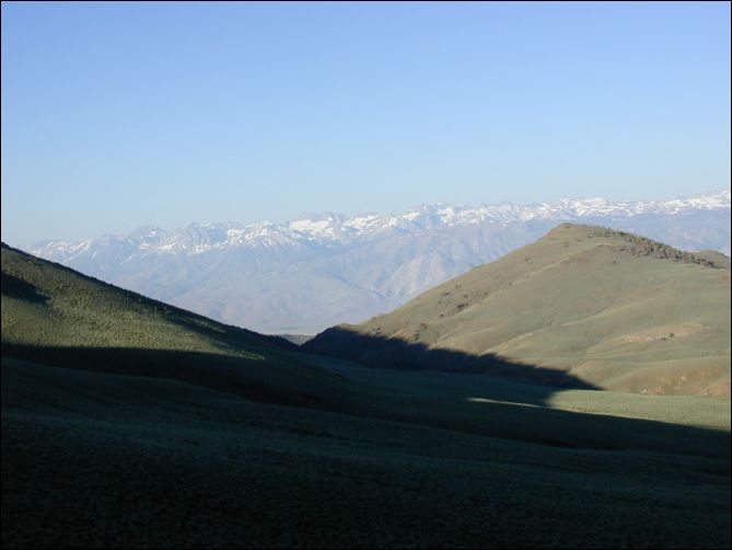 2005-07-05_white_00.jpg