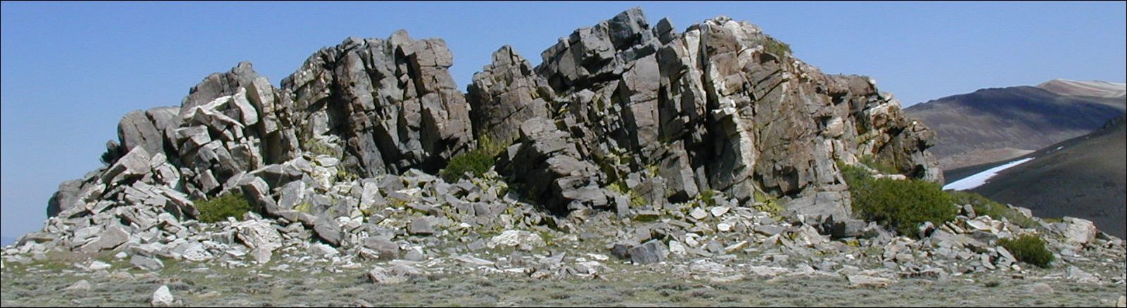 2005-07-05_white_01.jpg