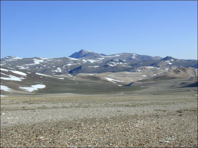 2005-07-05_white_02.jpg