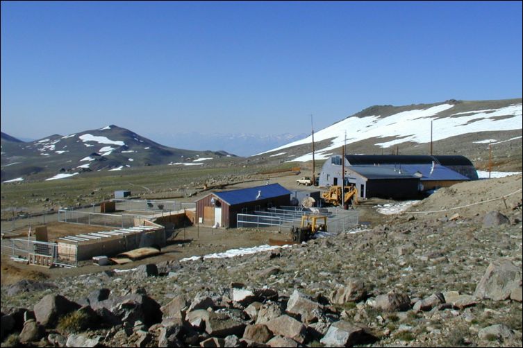 2005-07-05_white_03.jpg