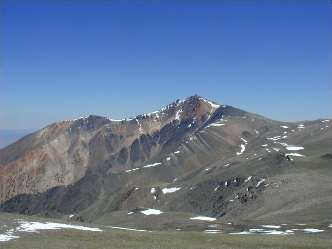 2005-07-05_white_05a.jpg