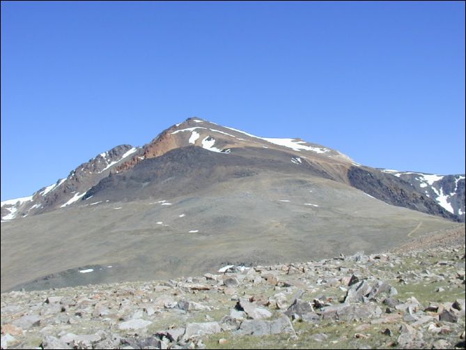2005-07-05_white_06.jpg
