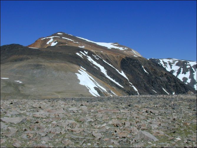 2005-07-05_white_08.jpg